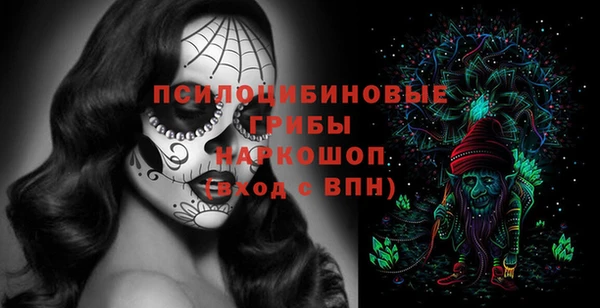 кокс Арсеньев