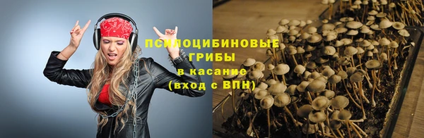 кокс Арсеньев