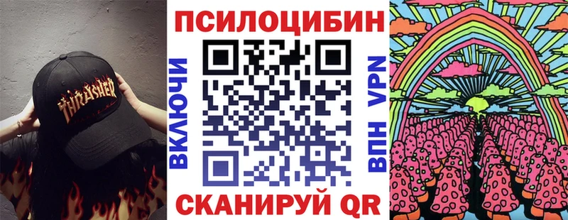 Купить закладки  Мещовск  Псилоцибиновые грибы мицелий 